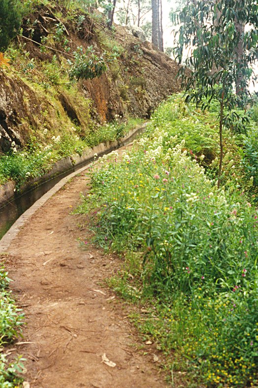 Madeira 2000 30